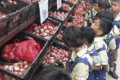 market5