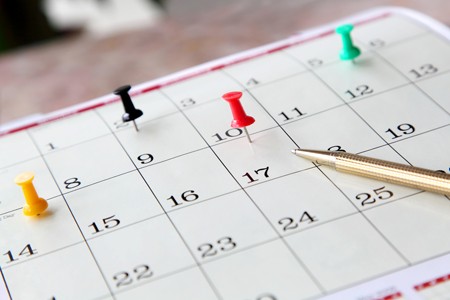 Delhi Public School HRIT - payment-schedule